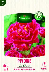 Pivoine De Chine Karl Rosenfeld (x1)